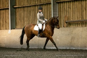 Isis Dressage Crown Farm Show 29th April 2012